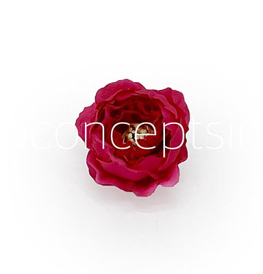Fuchsia Pink Peonies Fuchsia Pink Peonies
