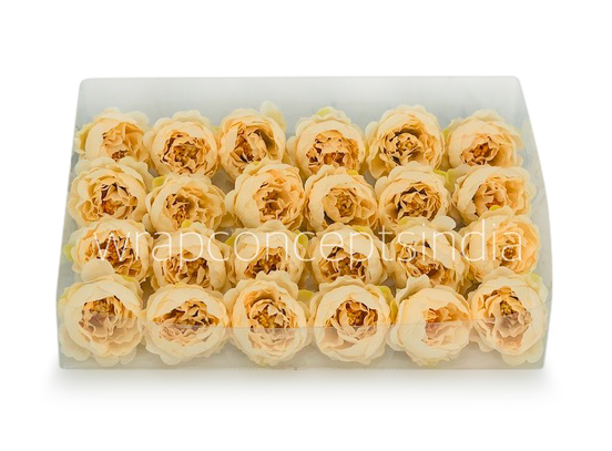 Cream Yellow Peonies Cream Yellow Peonies