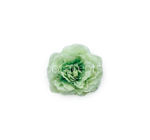 Tea Green Moutan Peony