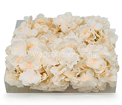 Butter Cream & Peach Hydrangeas Butter Cream & Peach Hydrangeas