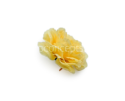 Corn Moutan Peony