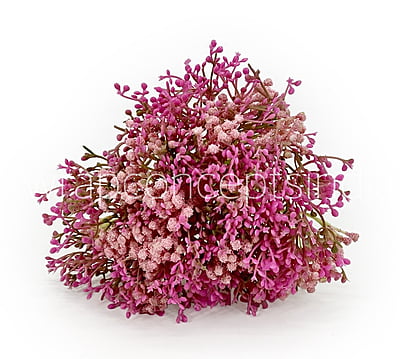Gypsy Floret Bunch Gypsy Floret Bunch