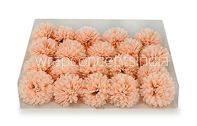 Carnation - Peach Carnation - Peach