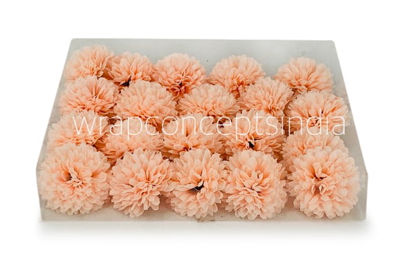 Carnation - Peach Carnation - Peach