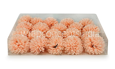 Carnation - Peach Carnation - Peach
