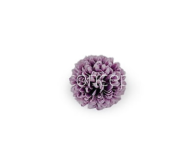 Carnation - Lavender