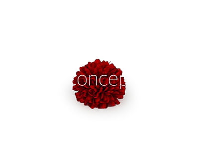 Carnation - Deep Red Carnation - Deep Red