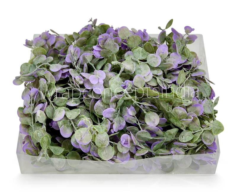 Purple & Green Blume Leaves Purple & Green Blume Leaves