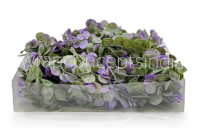 Purple & Green Blume Leaves Purple & Green Blume Leaves