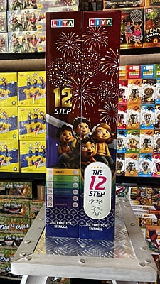 12 step