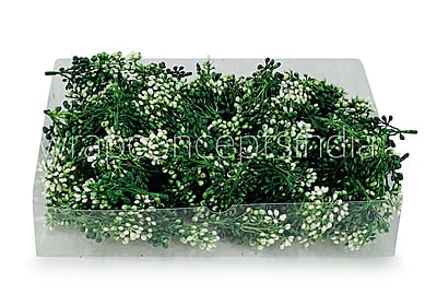 Dark Green Baby Breath Dark Green Baby Breath