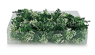 Dark Green Baby Breath Dark Green Baby Breath
