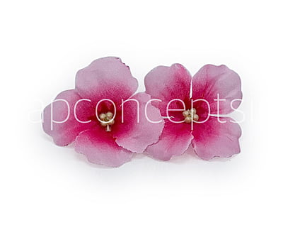 Pink Hydrangea Flowers