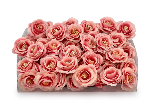 Peachy Pink Rose Flower Peachy Pink Rose Flower