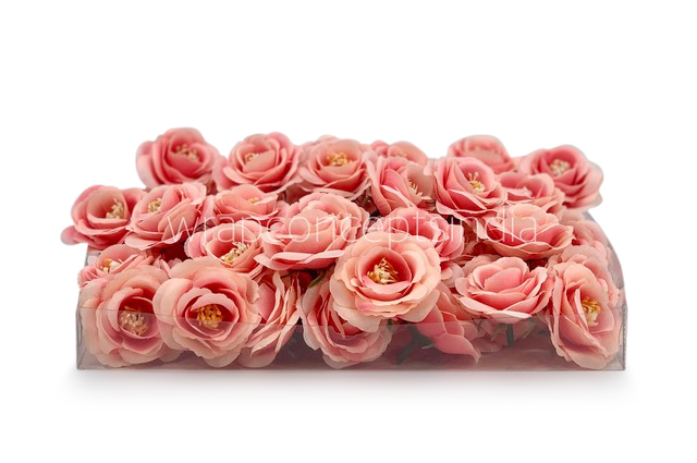 Peachy Pink Rose Flower Peachy Pink Rose Flower