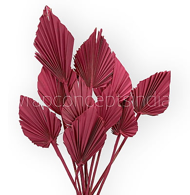 Pink Palm Spear - Big/Small Pink Palm Spear - Big/Small