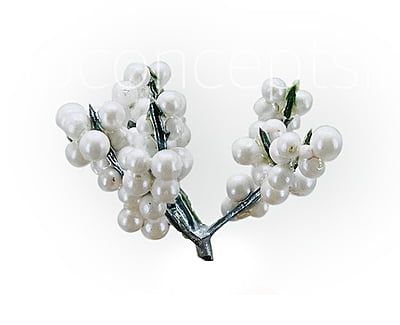 Pearl White Fern Pearl White Fern