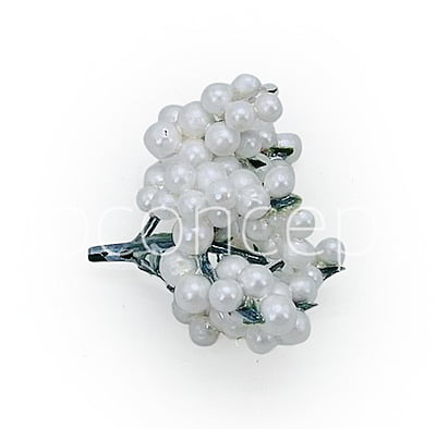 Pearl White Fern Pearl White Fern