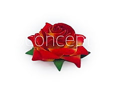 Rose With Leaves - Burnt Orange