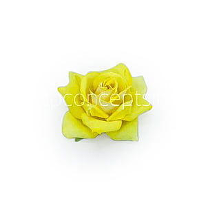Rose With Leaves - Yellow