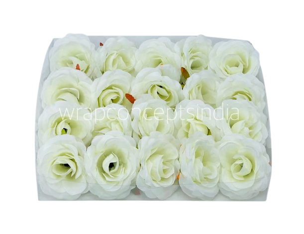 Rose - White Rose - White