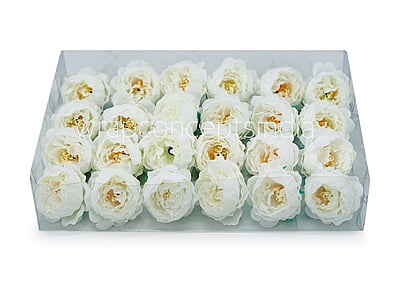 White Peonies (24 pcs)