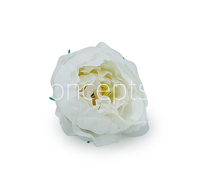 White Peonies (24 pcs)