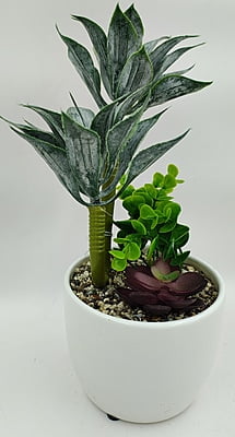 Blooming Beauty Pot (5" X 10")