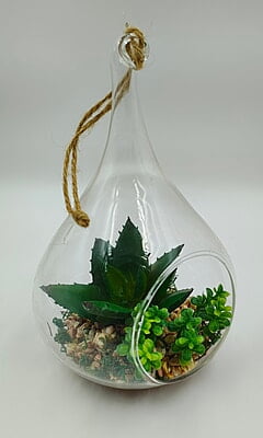 Bamboo Stick Display