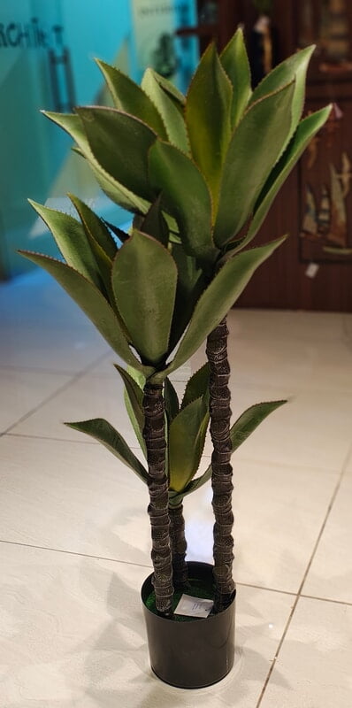 Cactus Display Pot (36") Cactus Display Pot (36")