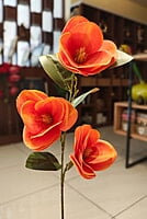 Glass-Encased Plant