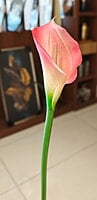 Floral Arrangement Stick