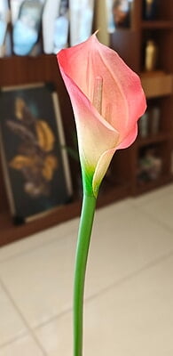 Floral Arrangement Stick Floral Arrangement Stick