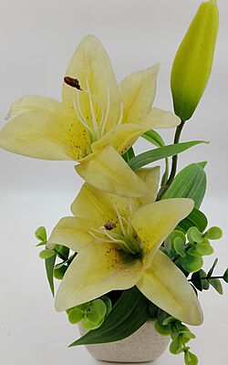 Pot With Flower