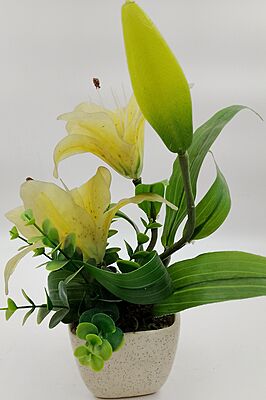 Pot With Flower