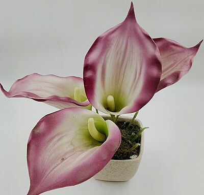 Pot With Flower