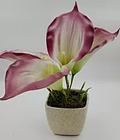 Pot With Flower