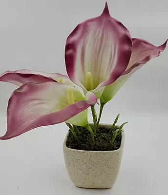 Pot With Flower