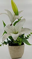 Pot With Flower