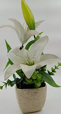 Pot With Flower