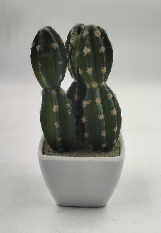 Plastic POT With Cactus Plastic POT With Cactus