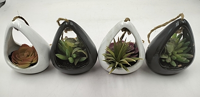 Alovera Pot