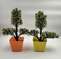 Plastic pot With Plant