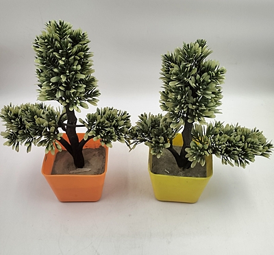 Plastic pot With Plant Plastic pot With Plant