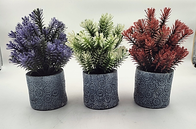 Pot with Plants