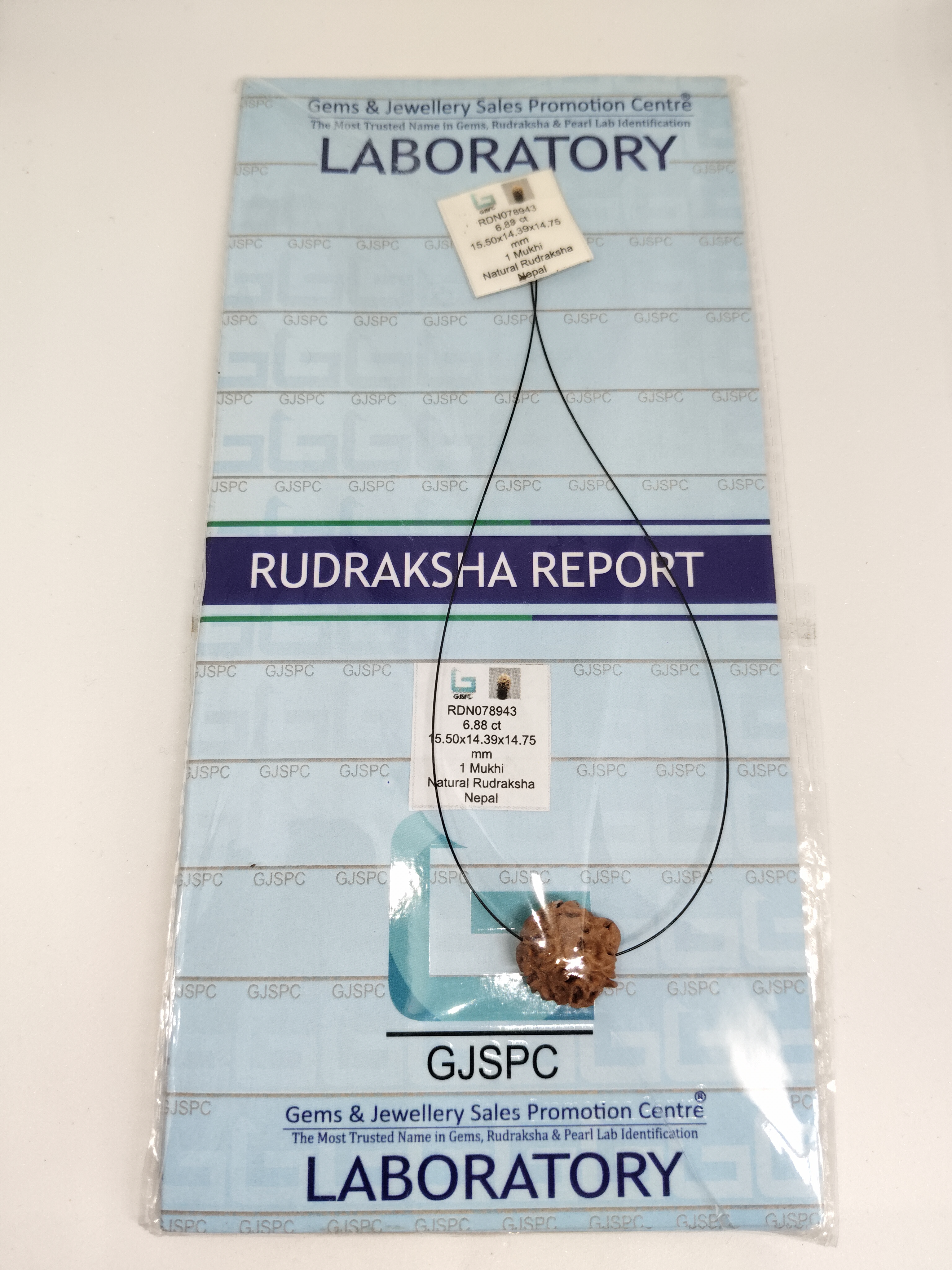 Rudraksha 1 Mukhi | Nepal Origin Rudraksha 1 Mukhi | Nepal Origin