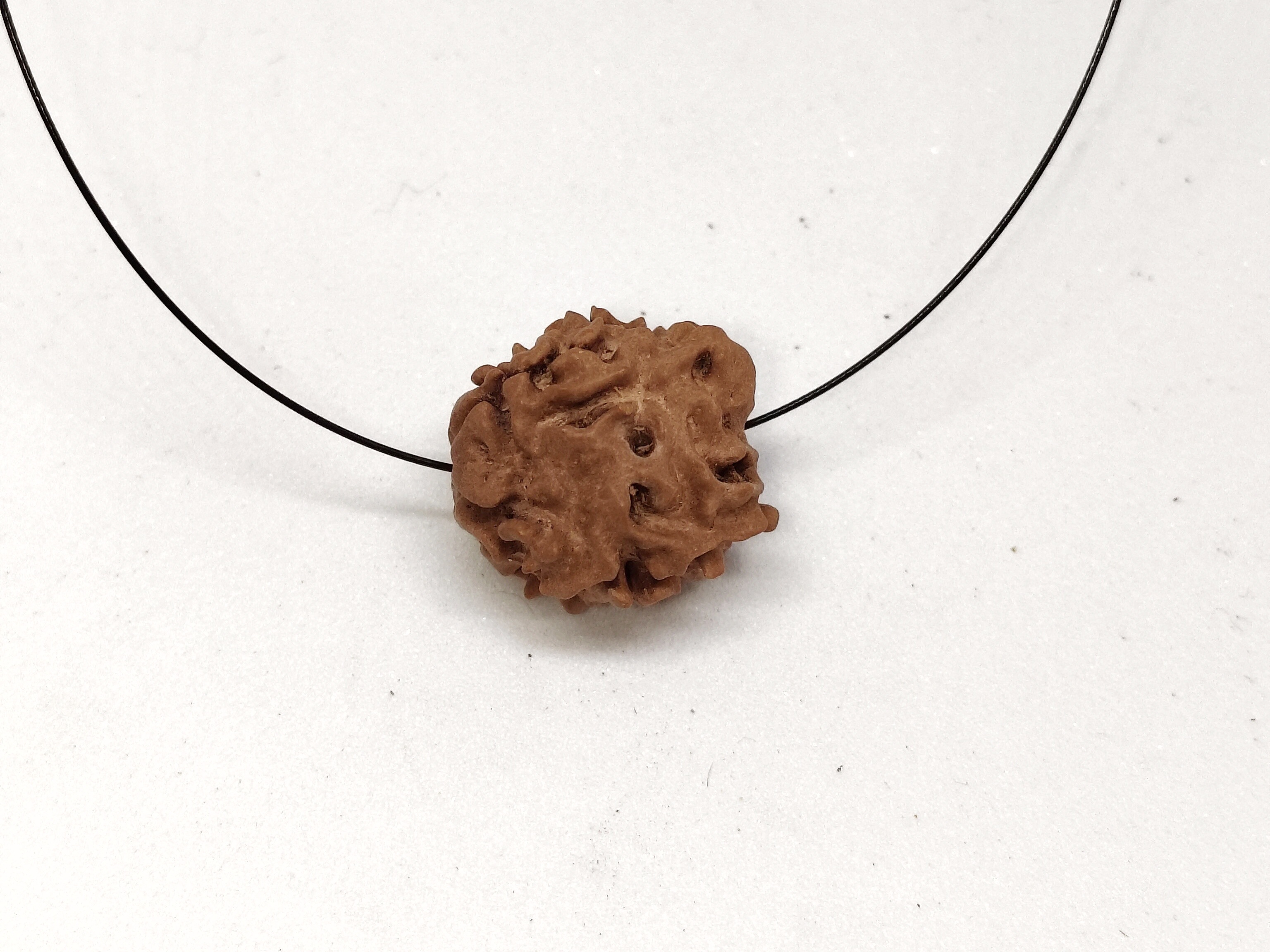 Rudraksha 1 Mukhi | Nepal Origin Rudraksha 1 Mukhi | Nepal Origin