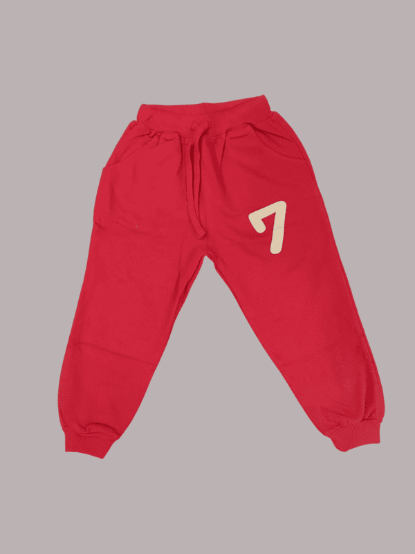 Kids' Casual Sweatshirt & Jogger D.4.2023 B.2071