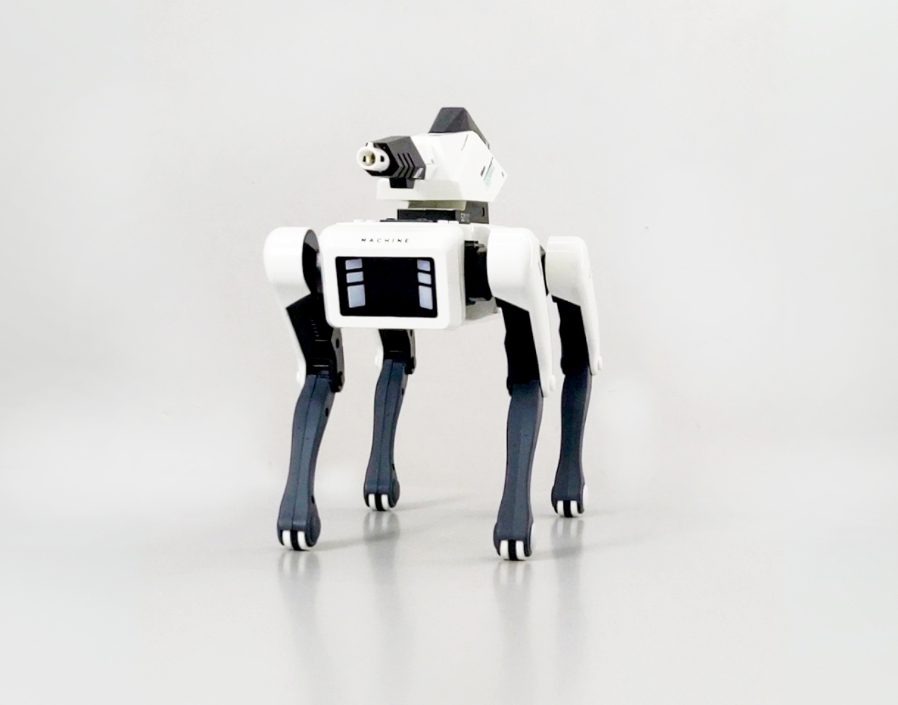 Zen Bot