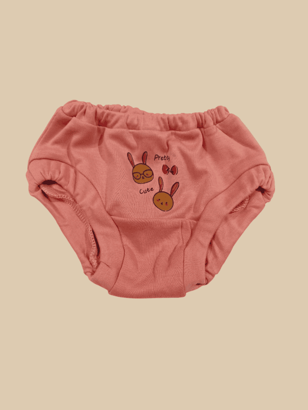 Baby Cotton Briefs / Panties โ Set of 6 jj D.DP/P24